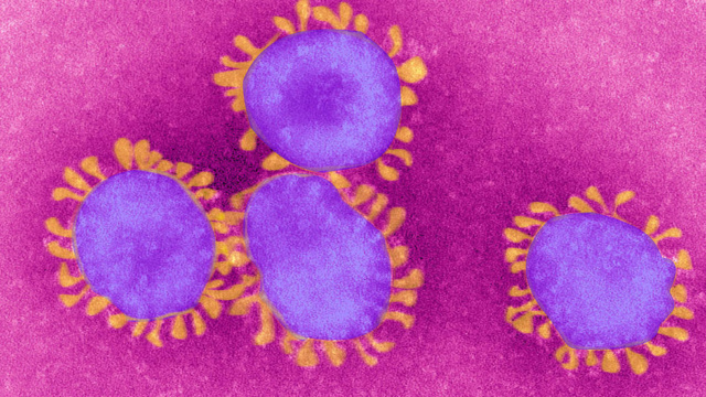#Coronavirus : un essai clinique de #traitement va être lancé sur 800 patients en France Gettyi11