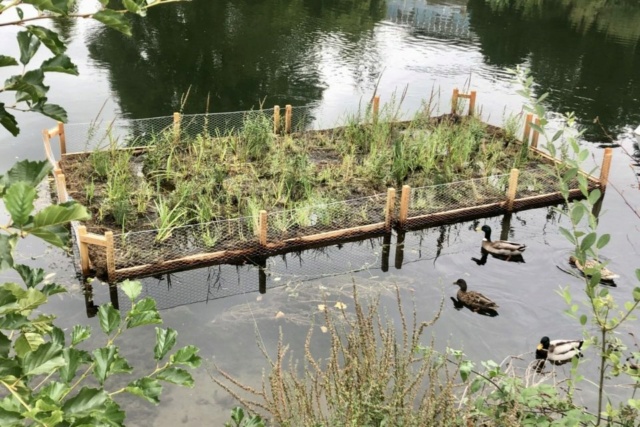 C'est quoi ces #radeaux flottant sur la #Somme à #Abbeville ? Radeau10