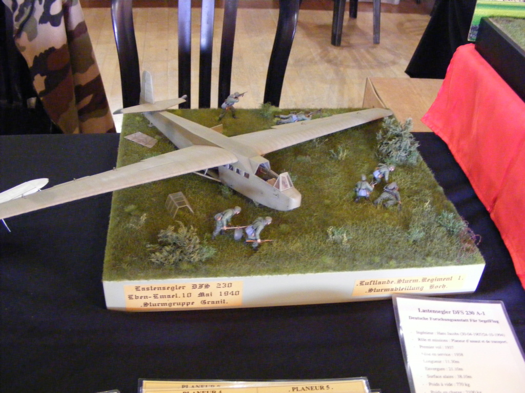 SAINT LOUBÈS (33 GIRONDE) Compte rendu de l'expo des 12 et 13 novembre 2022 ... Dscf0137