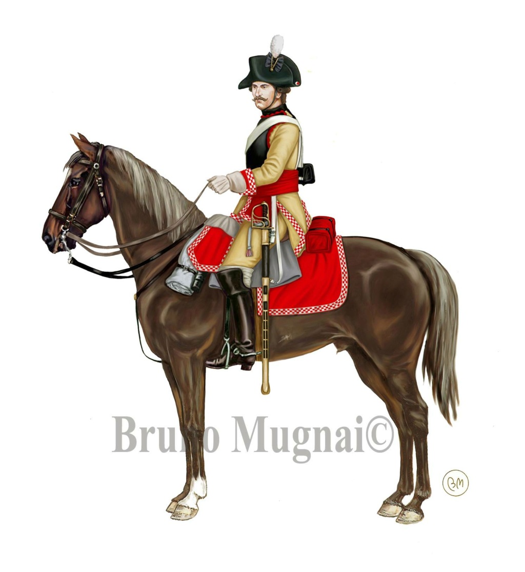 Austrian Cavalry of the Revolutionary and Napoleonic Wars 1792-1815 Austri12