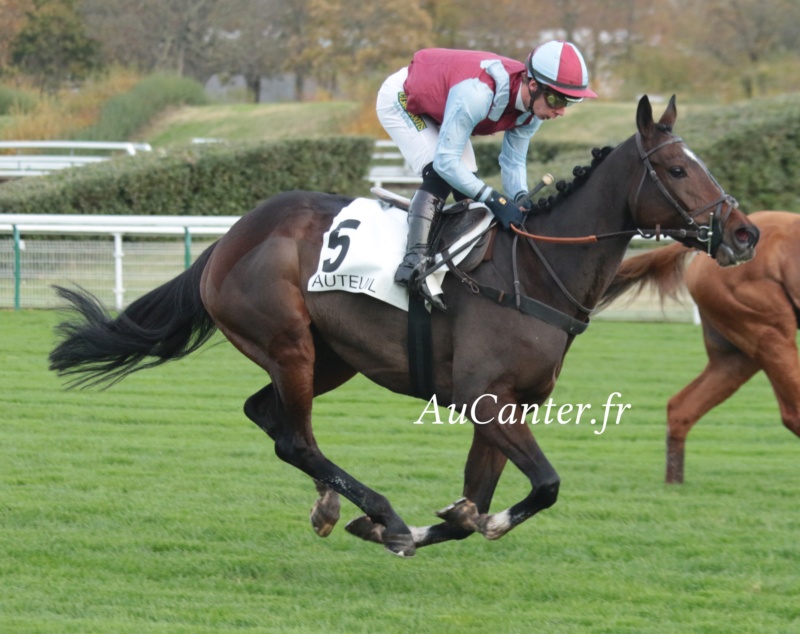 Grand Prix d'Automne 2021 (H., Gr.I, Auteuil) 6-11 : Galop Marin + photos 5j6a0711