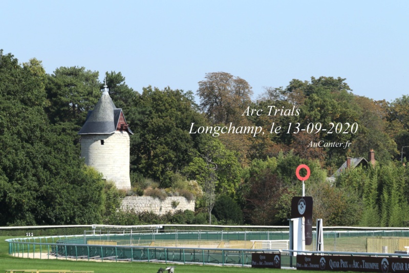 Photos Longchamp : Arc trials 13-09- 2020 5j6a2611