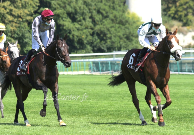 Photos Longchamp : Arc trials 13-09- 2020 5j6a2811