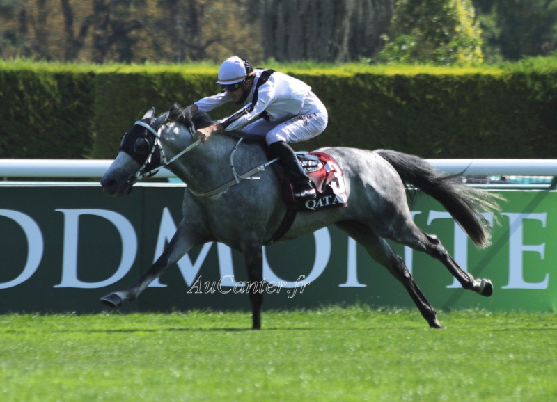 Photos Longchamp : Arc trials 13-09- 2020 5j6a2825