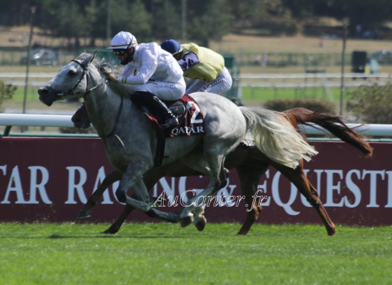 Photos Longchamp : Arc trials 13-09- 2020 5j6a2826