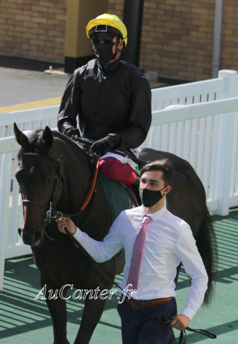 Photos Longchamp : Arc trials 13-09- 2020 5j6a2930