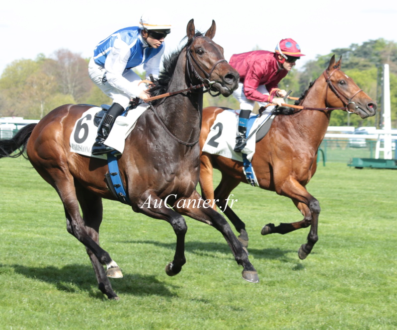 Photos Longchamp 10-04-2022 5j6a3214