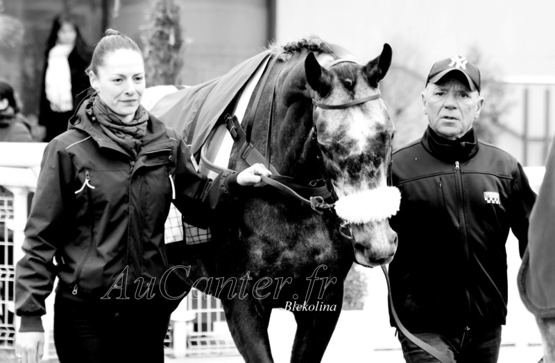 Photos Auteuil 25-02-2023 5j6a3810