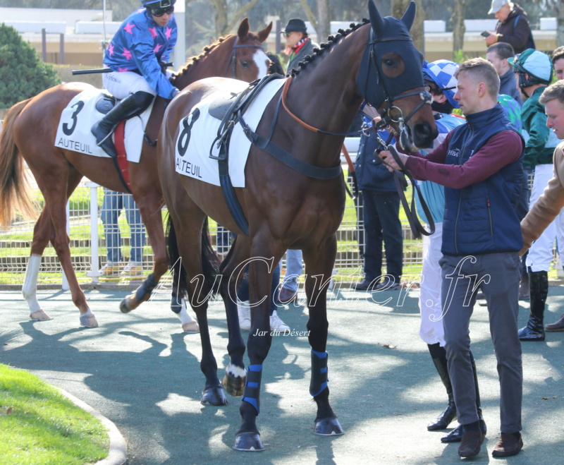 Photos Auteuil 25-02-2023 5j6a4014