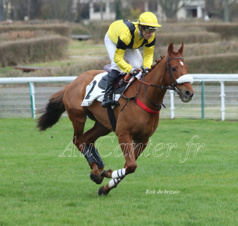 Photos Auteuil 25-02-2023 5j6a4215