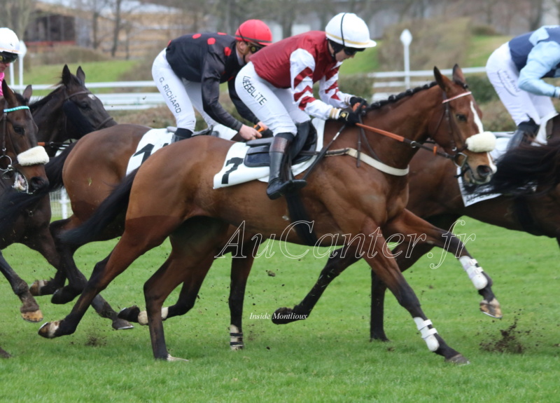 Photos Auteuil 25-02-2023 5j6a4219