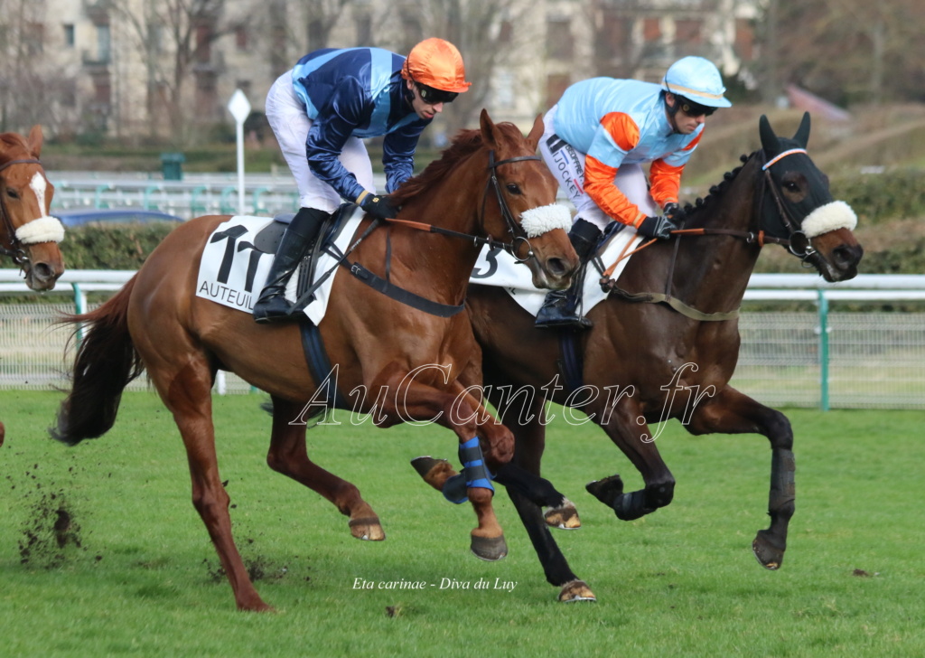 Photos Auteuil 25-02-2023 5j6a4319