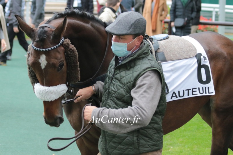 Photos Auteuil 17-10-2020 Gde Course de Haies 5j6a4511