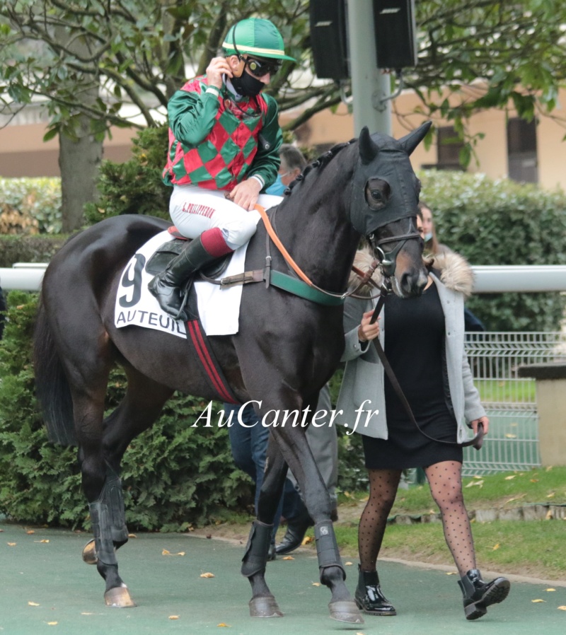 Photos Auteuil 17-10-2020 Gde Course de Haies 5j6a4614