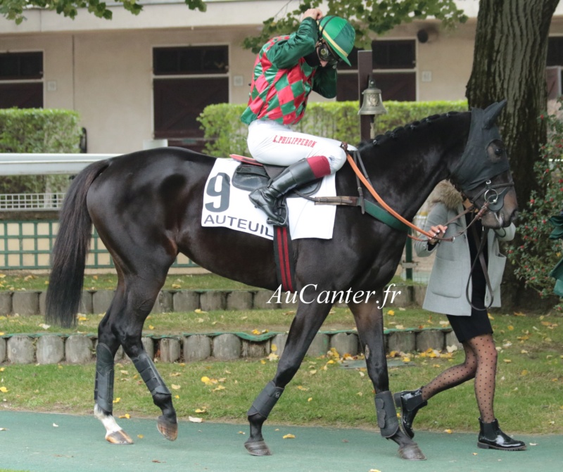 Photos Auteuil 17-10-2020 Gde Course de Haies 5j6a4617