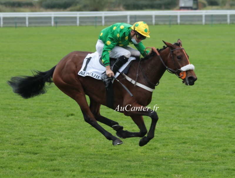 Photos Auteuil 17-10-2020 Gde Course de Haies 5j6a4624