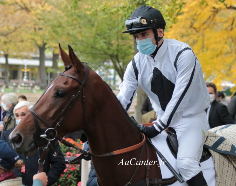 Photos Auteuil 17-10-2020 Gde Course de Haies 5j6a4630