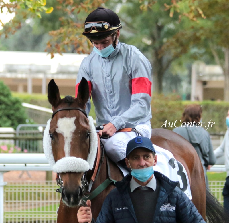 Photos Auteuil 17-10-2020 Gde Course de Haies 5j6a4634