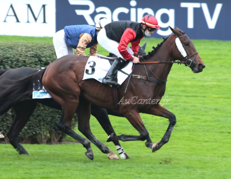 Photos Auteuil 17-10-2020 Gde Course de Haies 5j6a4817