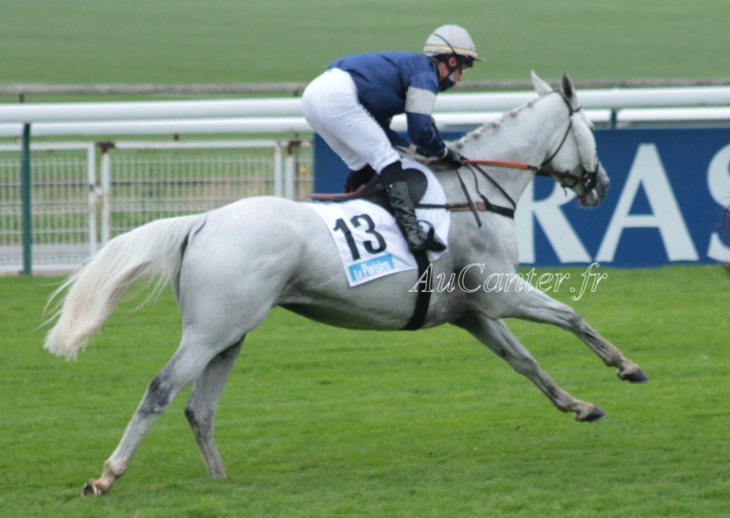 Photos Auteuil 17-10-2020 Gde Course de Haies 5j6a4821