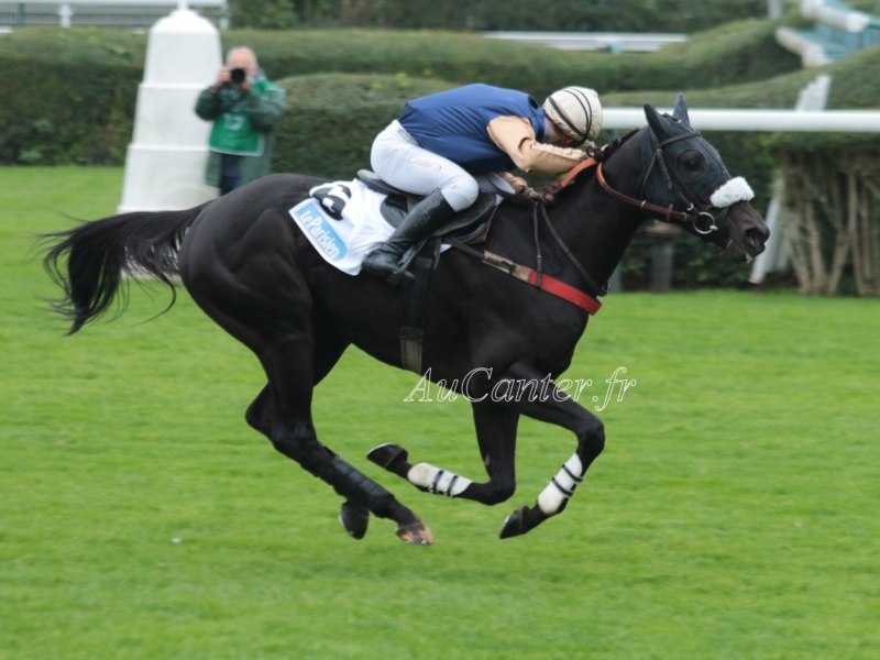 Photos Auteuil 17-10-2020 Gde Course de Haies 5j6a4910