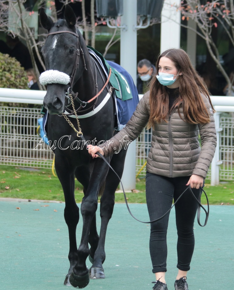 Photos Auteuil 17-10-2020 Gde Course de Haies 5j6a4913