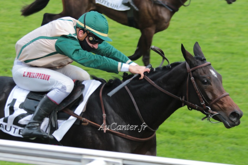 Photos Auteuil 17-10-2020 Gde Course de Haies 5j6a5014