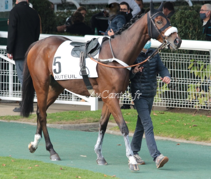 Photos Auteuil 17-10-2020 Gde Course de Haies 5j6a5017