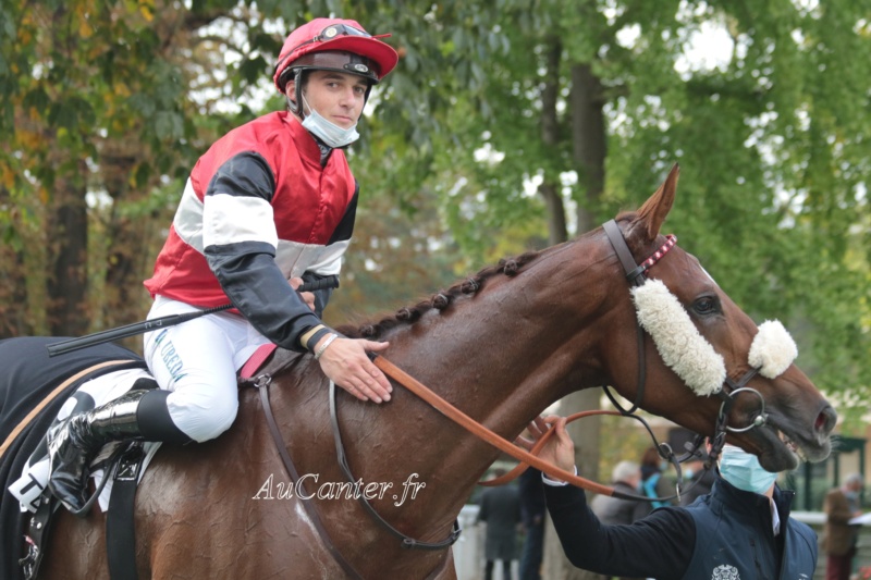 Photos Auteuil 17-10-2020 Gde Course de Haies 5j6a5127