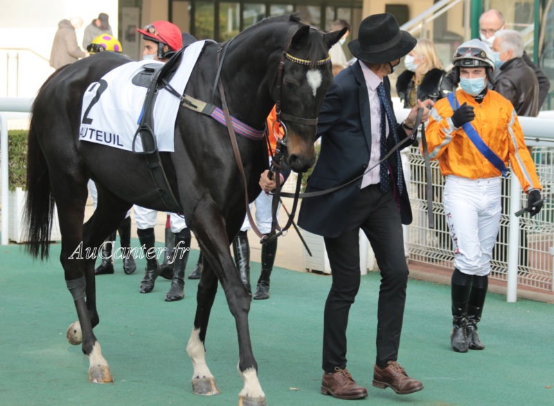 Photos Auteuil 17-10-2020 Gde Course de Haies 5j6a5212