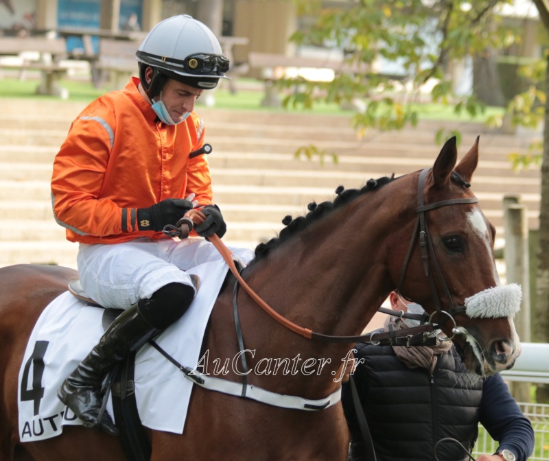 Photos Auteuil 17-10-2020 Gde Course de Haies 5j6a5220