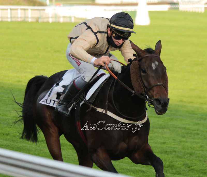 Photos Auteuil 17-10-2020 Gde Course de Haies 5j6a5412