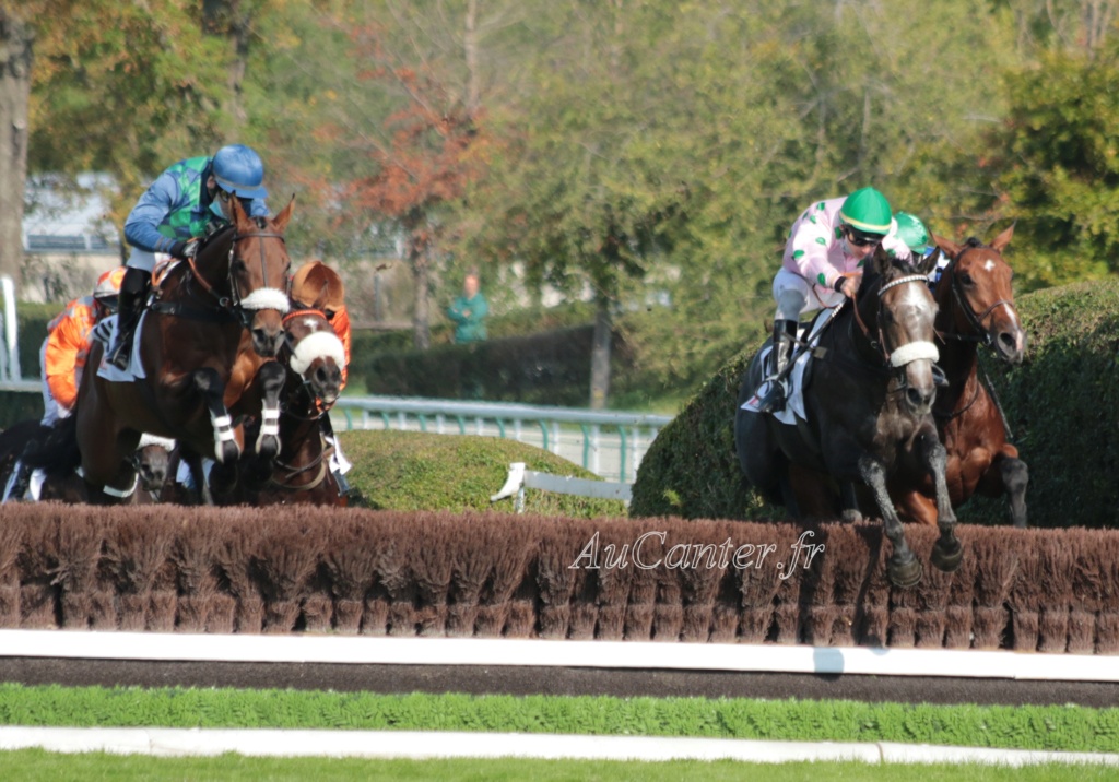 Photos Auteuil 18-10-2020 Gd Steeple de Paris 5j6a5721