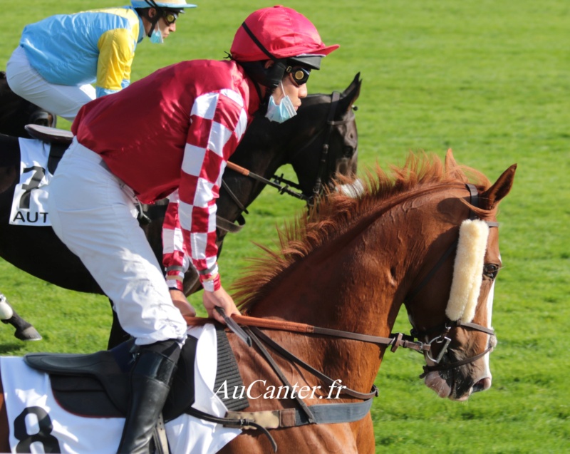 Photos Auteuil 18-10-2020 Gd Steeple de Paris 5j6a5829