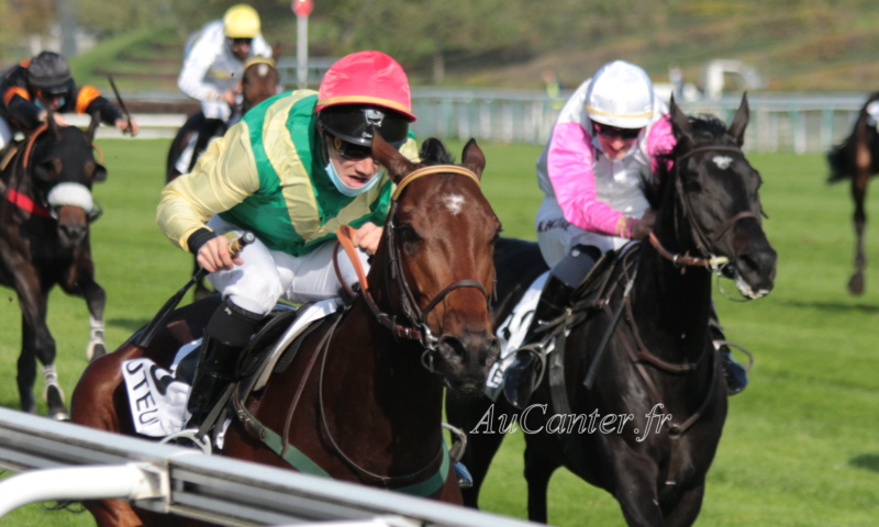 Photos Auteuil 18-10-2020 Gd Steeple de Paris 5j6a5832