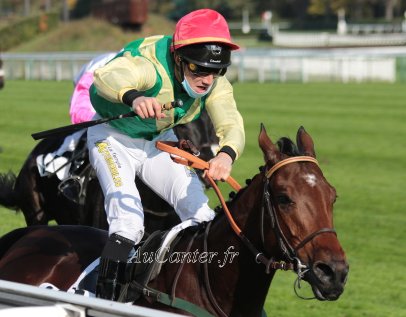 Photos Auteuil 18-10-2020 Gd Steeple de Paris 5j6a5833