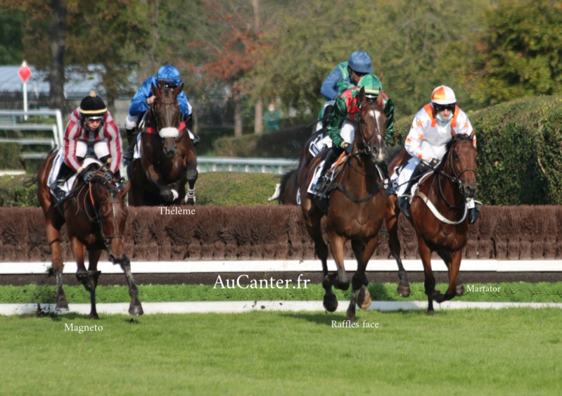 Photos Auteuil 18-10-2020 Gd Steeple de Paris 5j6a5912