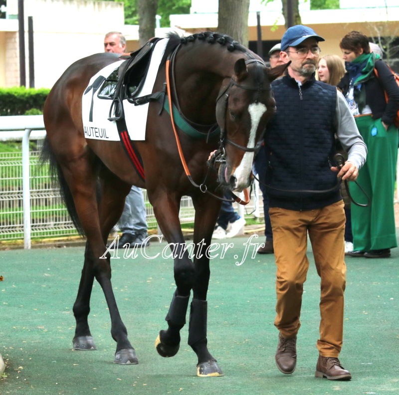 Photos Auteuil 29-04-2023 5j6a5929