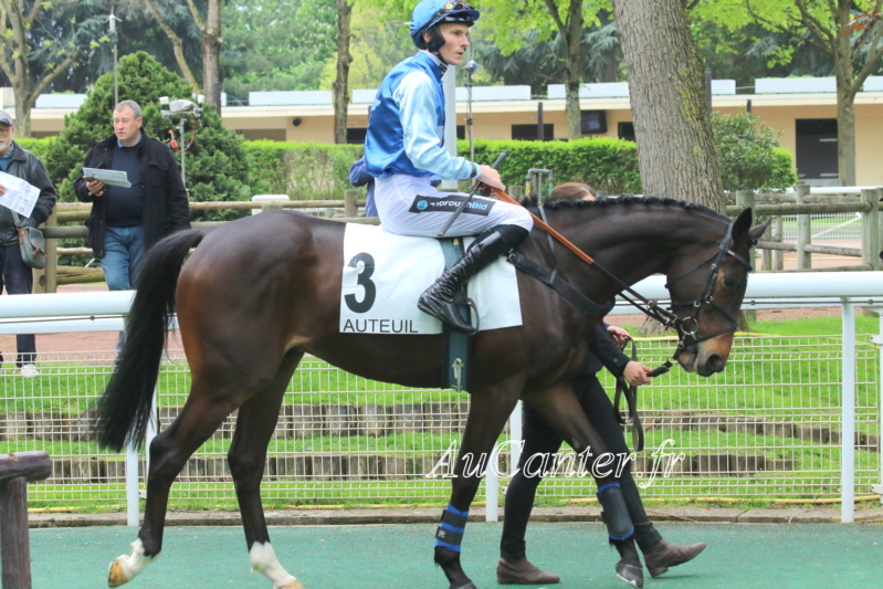 Photos Auteuil 29-04-2023 5j6a5931