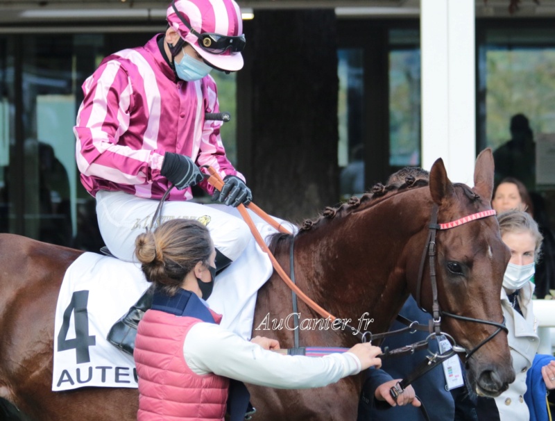 Photos Auteuil 18-10-2020 Gd Steeple de Paris 5j6a6012