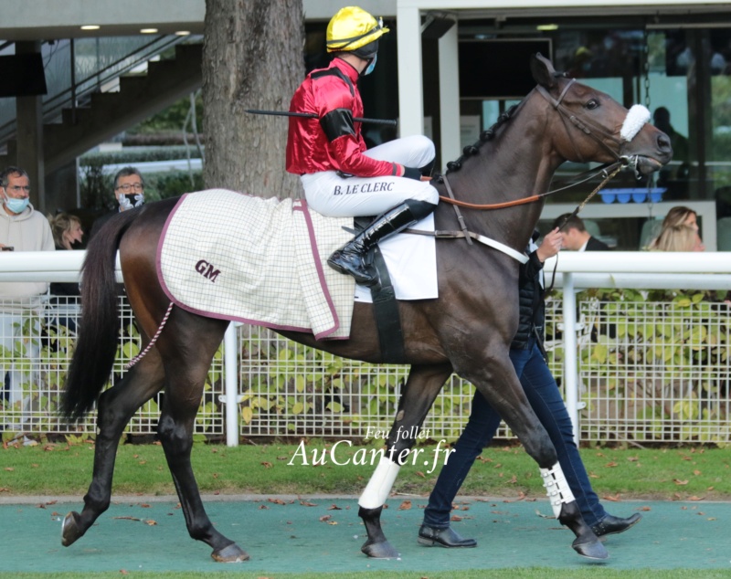 Photos Auteuil 18-10-2020 Gd Steeple de Paris 5j6a6015