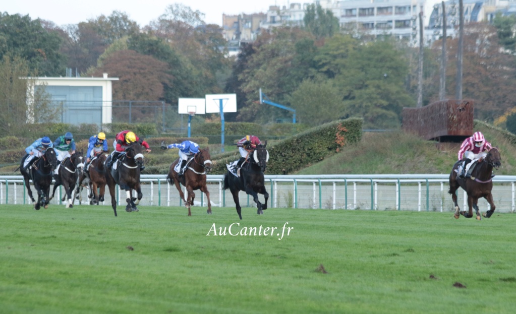 Photos Auteuil 18-10-2020 Gd Steeple de Paris 5j6a6035