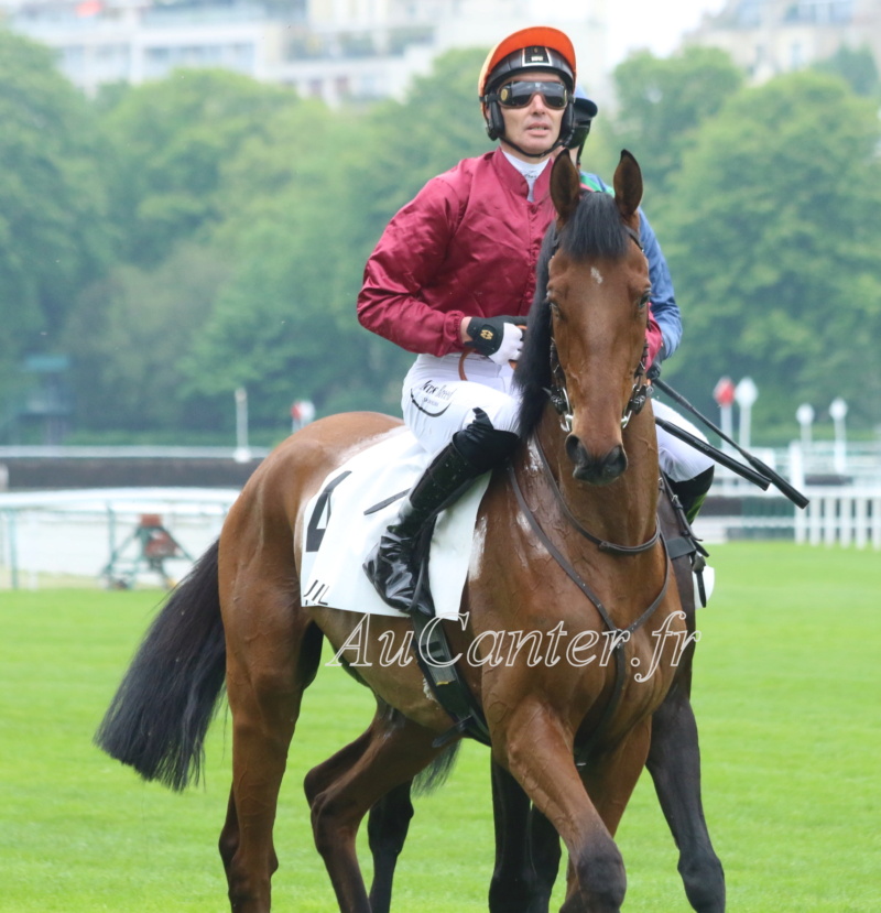 Photos Auteuil 29-04-2023 5j6a6048