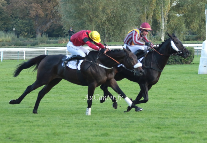 Photos Auteuil 18-10-2020 Gd Steeple de Paris 5j6a6115