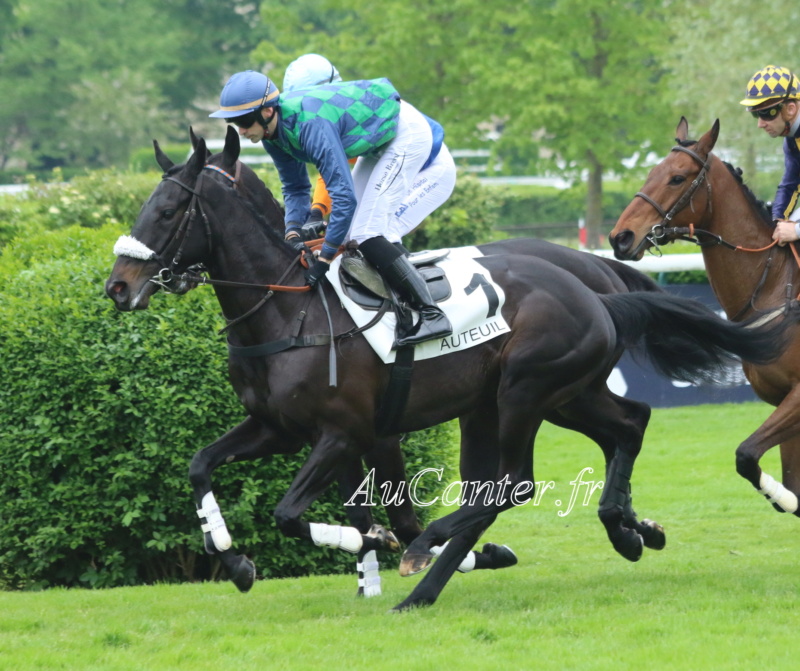 Photos Auteuil 29-04-2023 5j6a6119