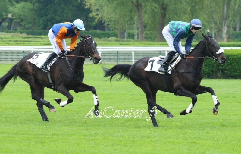 Photos Auteuil 29-04-2023 5j6a6123