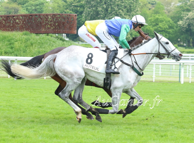 Photos Auteuil 29-04-2023 5j6a6231