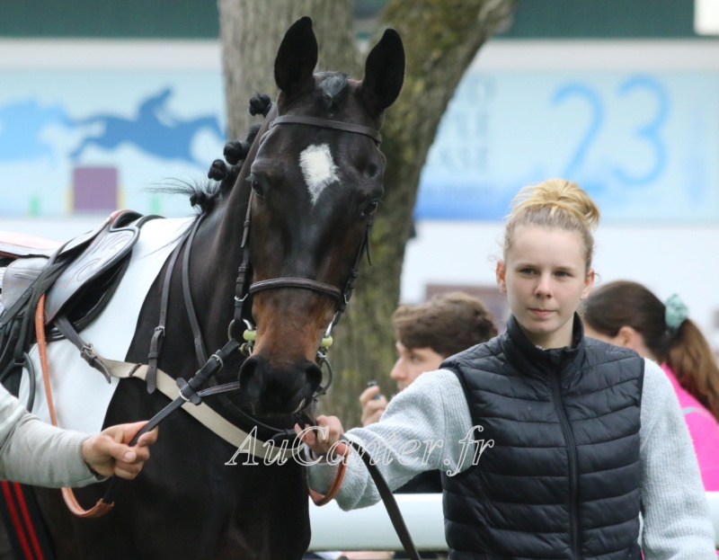 Photos Auteuil 29-04-2023 5j6a6239