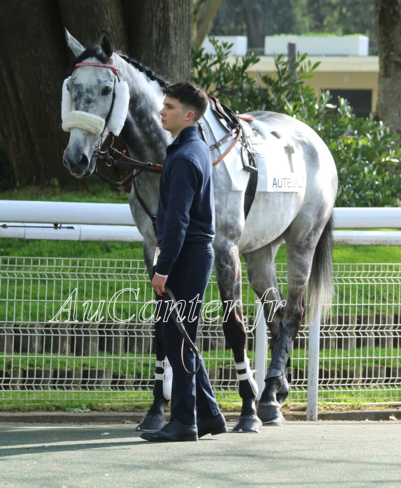 Photos Auteuil 29-04-2023 5j6a6615