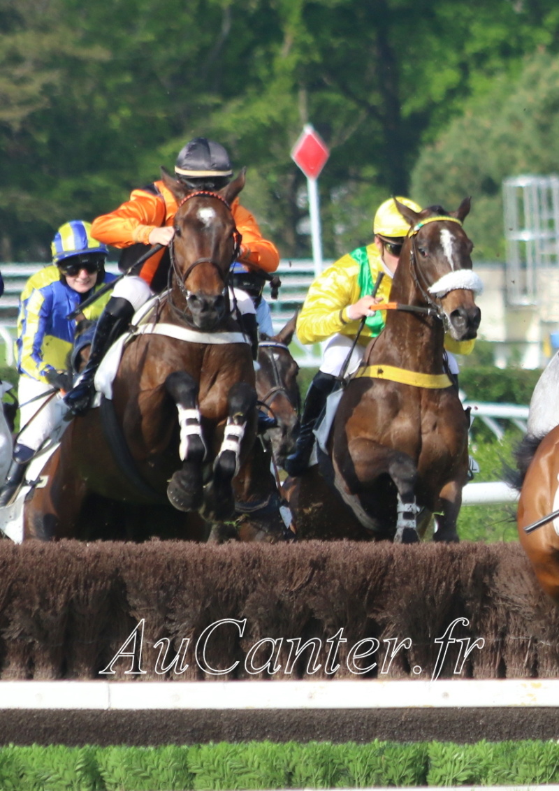 Photos Auteuil 29-04-2023 5j6a6618